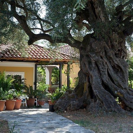 Villa Christina Ζάκυνθος Πόλη Εξωτερικό φωτογραφία